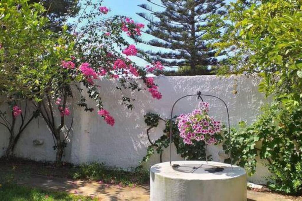 מרסאלה Villa Mozia Riserva Dello Stagnone מראה חיצוני תמונה